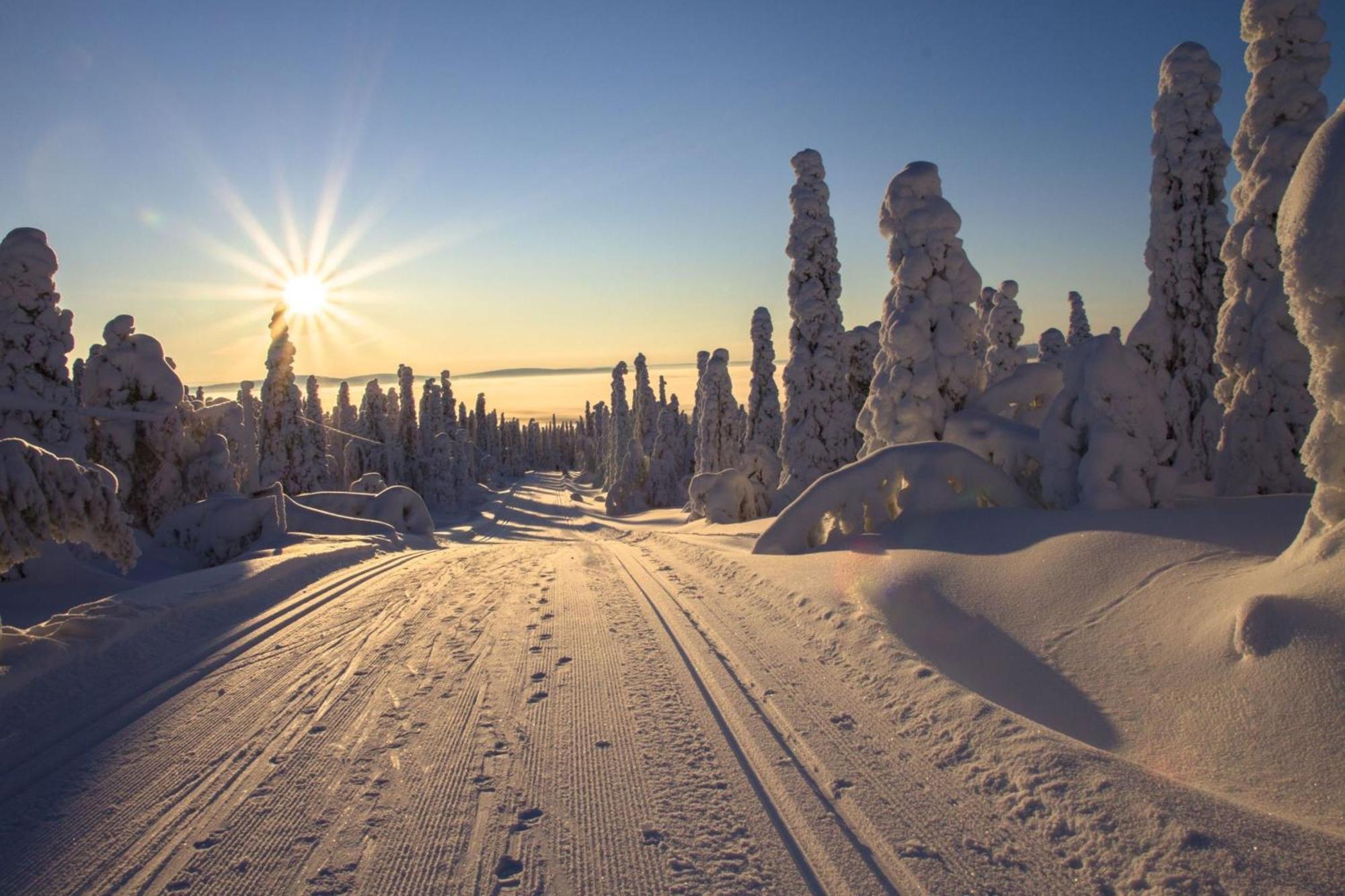 Holiday Inn Express Hotel & Suites North Bay By Ihg Eksteriør bilde